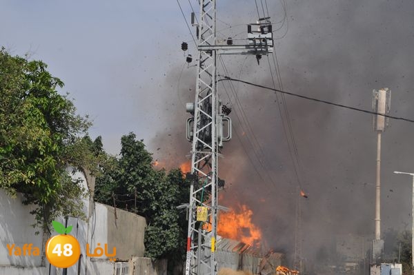 fireludkartoonmasna34 (21).JPG